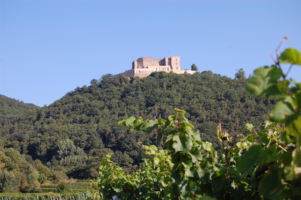 Landgasthof Jaegerstuebchen Neustadt an der Weinstraße Exterior foto